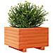 Fioriera Giardino Marrone Cera 40x40x26,5cm Legno Massello Pino - Foto miniatura 9