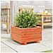 Fioriera Giardino Marrone Cera 40x40x26,5cm Legno Massello Pino - Foto miniatura 10