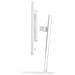 Monitor 23,8" LED Flat XB2497HSU-W1 Full HD Tempo di risposta 4 ms Bianco - Foto miniatura 5