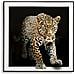Dipinto Su Tela Giaguaro A Ritratto Animale Con Cornice, 82x82 Cm - Foto miniatura 1