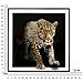 Dipinto Su Tela Giaguaro A Ritratto Animale Con Cornice, 82x82 Cm - Foto miniatura 7