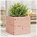 Fioriera Da Giardino 50x50x46 Cm In Legno Massello Di Douglas - Foto miniatura 1