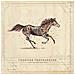 Audio Cd Turnpike Troubadours - A Long Way From Your Heart - Foto miniatura 1