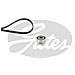 K016pk1090sf Accesso Strap - Foto miniatura 1
