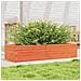 Fioriera Giardino Marrone Cera 110x40x23 Cm Legno Massello Pino - Foto miniatura 1