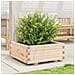Fioriera da Giardino 60x60x26,5 cm in Legno Massello di Pino - Foto miniatura 2