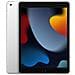 iPad 9 (2021) 256Gb Wi-Fi Argento - Foto miniatura 1