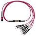 SFP5143FU3MKB cavo InfiniBand e in fibra ottica 3 m MPO ST Rosso - Foto miniatura 1