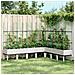 Fioriera Da Giardino Con Traliccio Bianco 200x160x142,5cm In Pp - Foto miniatura 4