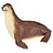 Safari Ltd Wild Safari Sea Life Sea Lion Modello Di Statuetta Giocattolo Realistico Dipinto A Mano Per Bambini Dai 3 Anni In Su - Foto miniatura 1