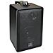 Altoparlante da Scaffale RL100W BK Nero 100 W 90 Hz - 20000 Hz - Foto miniatura 4