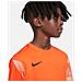 Maglia Dri-Fit Park Iv Goalkeeper Cj6072-819 Bambino Taglia Xl Colore Arancione - Foto miniatura 4