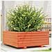 Fioriera Giardino Marrone Cera 60x60x26,5cm Legno Massello Pino - Foto miniatura 3