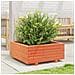 Fioriera Giardino Marrone Cera 60x60x26,5cm Legno Massello Pino - Foto miniatura 4