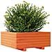 Fioriera Giardino Marrone Cera 60x60x26,5cm Legno Massello Pino - Foto miniatura 7