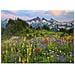 Tatoosh Mountains: 2000 Parti - Foto miniatura 2
