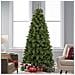 Albero Di Natale Verde Namir 240 Cm Super Folto Foltissimo Realistico 1188 Punte - Foto miniatura 1