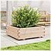 Fioriera da Giardino 70x70x26,5 cm in Legno Massello di Pino - Foto miniatura 3