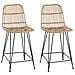 Sgabello da bar 2 pcs Naturale 44 x 54 x 96 cm Rattan e acciaio - Foto miniatura 1