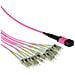 RL7851 cavo InfiniBand e in fibra ottica 1 m MPO /MTP 12x LC Viola - Foto miniatura 1