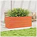 Fioriera Giardino Marrone Cera 110x40x46 Cm Legno Massello Pino - Foto miniatura 3