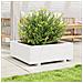 Fioriera da Giardino Bianca 70x70x26,5cm Legno Massello di Pino - Foto miniatura 5