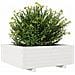 Fioriera da Giardino Bianca 70x70x26,5cm Legno Massello di Pino - Foto miniatura 7