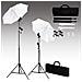 Set Di Luci Per Fotografico Con Stativi E Ombrelli - Foto miniatura 2