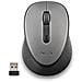 DEW mouse Ambidestro RF Wireless Ottico 1600 DPI - Foto miniatura 4
