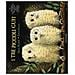Martin Waddell - I tre piccoli gufi. Ediz. illustrata - Foto miniatura 1