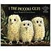 Martin Waddell - I tre piccoli gufi. Ediz. illustrata - Foto miniatura 2