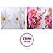 Paravento Pieghevole 200x170 cm con Stampa Fiore - Foto miniatura 5