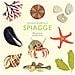Alison Davies - Piccola Guida Alle Spiagge - Foto miniatura 1