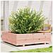 Fioriera da Giardino 90x90x26,5 cm in Legno Massello di Douglas - Foto miniatura 2
