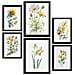 Set Di 6 Stampe Fiori Gialli Stampe Naturalistiche E Botaniche A Colori Con Motivi Floreali Su Sfondi Bianchi Puri A3 & A4 Cornice Nera - Foto miniatura 1
