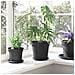 Vaso Rotondo per Fiori 24 pcs Nero Ø 19 x 16 cm Plastica - Foto miniatura 4