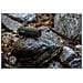 Speaker Wireless Portatile ROAM SL Wi-Fi Bluetooth Impermeabile IP67 Colore Nero - Foto miniatura 7