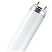 Tubo Fluorescente Lumilux T8 30w Cool White - Foto miniatura 1