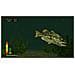 Bass Pro Shops: The Strike - Championship Edition, Switch videogioco Champions Switch Inglese - Foto miniatura 1