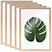 5 Cornici In Legno Per Erbario A4 - Foto miniatura 1