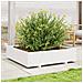 Fioriera da Giardino Bianca 100x100x26,5cm Legno Massello Pino - Foto miniatura 6