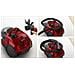 Aspirapolvere A Traino Rosso Da 750 W E 78 Db - Bgc21x350 - Foto miniatura 6