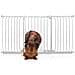 Bettacare Cancelletto Per Cani Elite Con Montaggio A Pressione, 161cm - 170cm, Bianco Opaco - Foto miniatura 1