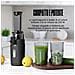Ginnie Spremiagrumi a Freddo Professionale, Estrattore Lento 60 RPM per Agrumi, Design Compatto e Facile da Pulire, 400ml, 100W - Nero - Foto miniatura 6