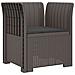 Poltrona a 1 Posto con Cuscino Aspetto Rattan PP Grigio Chiaro - Foto miniatura 1