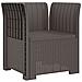 Poltrona a 1 Posto con Cuscino Aspetto Rattan PP Grigio Chiaro - Foto miniatura 2
