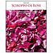 Sergio Rossi - Sciroppo di rose. La tradizione ligure delle rose antiche. Ediz. italiana e inglese - Foto miniatura 1