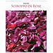 Sergio Rossi - Sciroppo di rose. La tradizione ligure delle rose antiche. Ediz. italiana e inglese - Foto miniatura 2