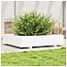 Fioriera da Giardino Bianca 110x110x26,5 cm in Legno di Pino - Foto miniatura 2