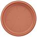 Vassoio Rotondo per Fiori 24 pcs Rosso Mattone Ø 14 x 2 cm - Foto miniatura 7
